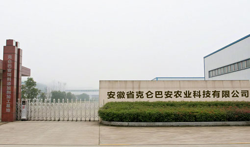 公司简介